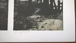 Nicolaas Wijnberg - Petit 2 compleet met gesigneerde litho en boekje Frans de Jong kopen? Bied vanaf 99!