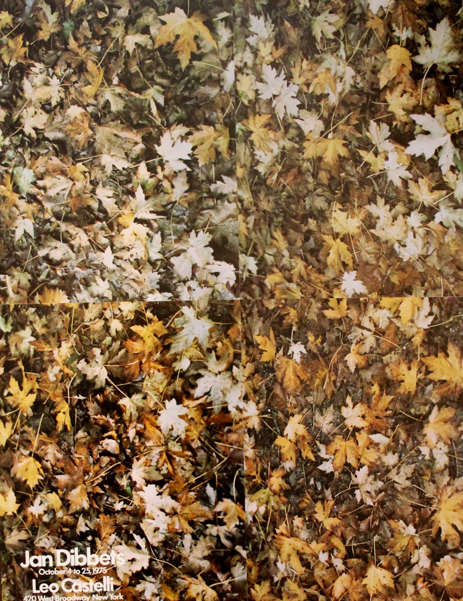 Jan Dibbets - Poster/affiche: Leo Castelli- 1975 verkocht voor € 30!