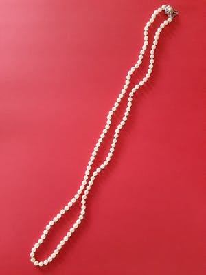 Curiosa - 50 mm echte parels met zilveren sluiting - Collier kopen? Bied vanaf 1!