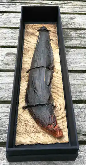 Yvonne Struys - Vleugel. Animalia. verkocht voor € 119!