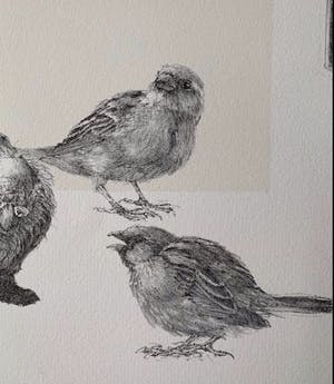 Peter Vos - Vreemde vogels met kat op de loer. kopen? Bied vanaf 55!