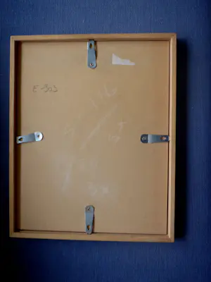 An Biesiot - Welp van de Leeuw kopen? Bied vanaf 15!