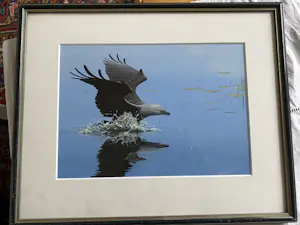 CHRIS ROSE - De adelaar kopen? Bied vanaf 200!