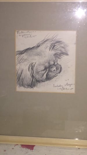 Willy Sluiter - Sweety sleeps kopen? Bied vanaf 150!