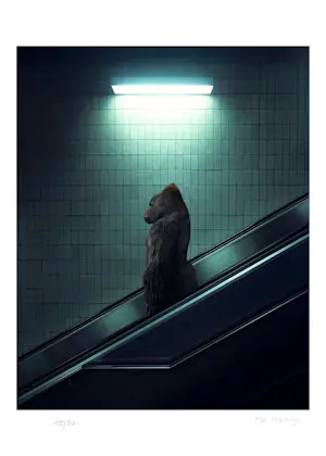 Mr Strange - De roltrap kopen? Bied vanaf 80!