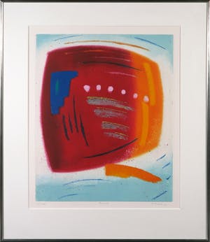 Roy Tonkin - Aquatint, Ariel - Ingelijst kopen? Bied vanaf 50!
