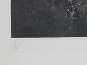 Johnny Friedlaender - Rêves Cosmiques XI - Ets kopen? Bied vanaf 1!