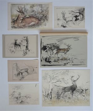 Floris Tiele - 7x diertekening van reeën kopen? Bied vanaf 39!