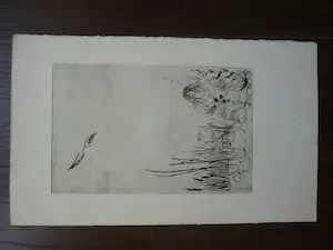 Margriet Snel - ets van vrouw aan oever in landschap kopen? Bied vanaf 5!