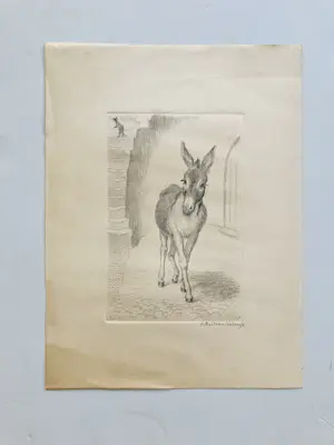 Engelien Reitsma-Valenca - ezeltje kopen? Bied vanaf 20!