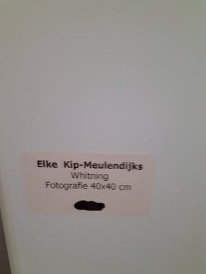 Niet of onleesbaar gesigneerd - Whitening kopen? Bied vanaf 1!