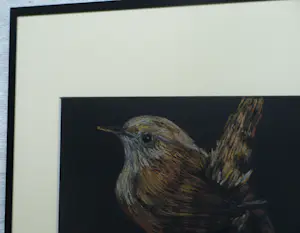 Niet of onleesbaar gesigneerd - Ingelijste pastel , Vogel op tak – gesigneerd – 2017 - Lijst, 41 x 41 cm. kopen? Bied vanaf 1!