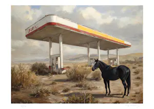 Mr. Strange - Kwijt kopen? Bied vanaf 90!