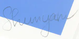 Shunyam - Zeefdruk, My Favourite Star - Ingelijst kopen? Bied vanaf 50!