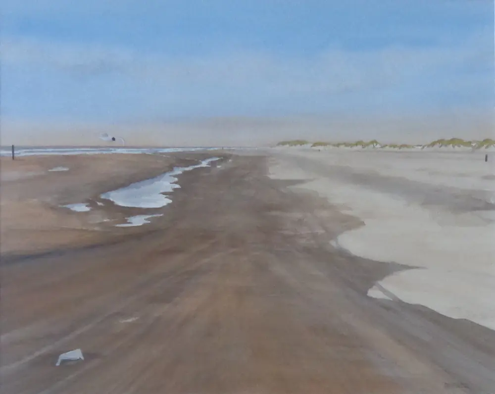 Franklin Meijer (1945)