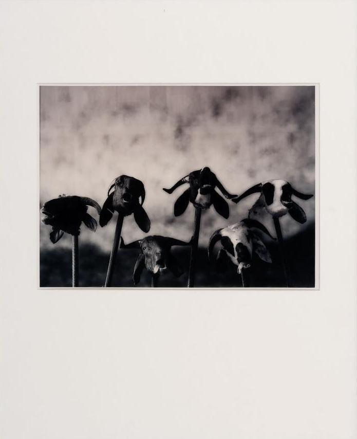 Paul Blanca - We know our people kopen? Bied vanaf 80!