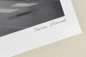 Dariusz Klimczak - 'Birdwalk' (2011) - GRATIS VERZENDING kopen? Bied vanaf 75!