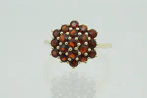 Acheter9- Klassieke 14 karaats geel-gouden rozet ring - 19 gefacetteerde bruine stenen? Enchérissez de 140!