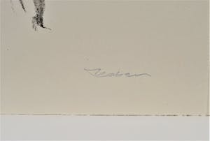 Arie Kater - naakt kopen? Bied vanaf 60!