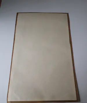 Herman Bernard Dieperink Jzn - fraai gedetailleerde kleuren - litho - Zonnebloemen - bep. oplage (70) kopen? Bied vanaf 35!