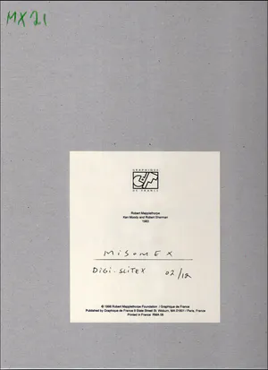 Robert Mapplethorpe - Ken Moody and Robert Sherman 1983 kopen? Bied vanaf 80!
