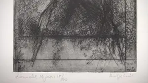 Dirkje Kuik - Dirkje Kuik – Lonneke 14 jaar – gesigneerde ets kopen? Bied vanaf 49!