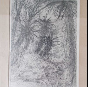 Jan Coenraad Nachenius - Bosgezicht met aloës in Zuid-Afrika - 1921/1922 kopen? Bied vanaf 50!