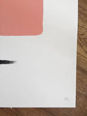 Matt Lambert - She Never - Handgesigneerde zeefdruk met certificaat - 5/25 kopen? Bied vanaf 250!