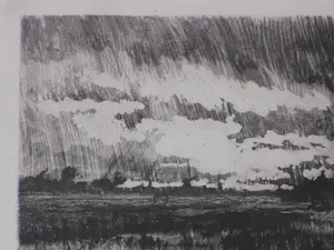 Marinus Heijl - Regen in de polder - Ets kopen? Bied vanaf 30!