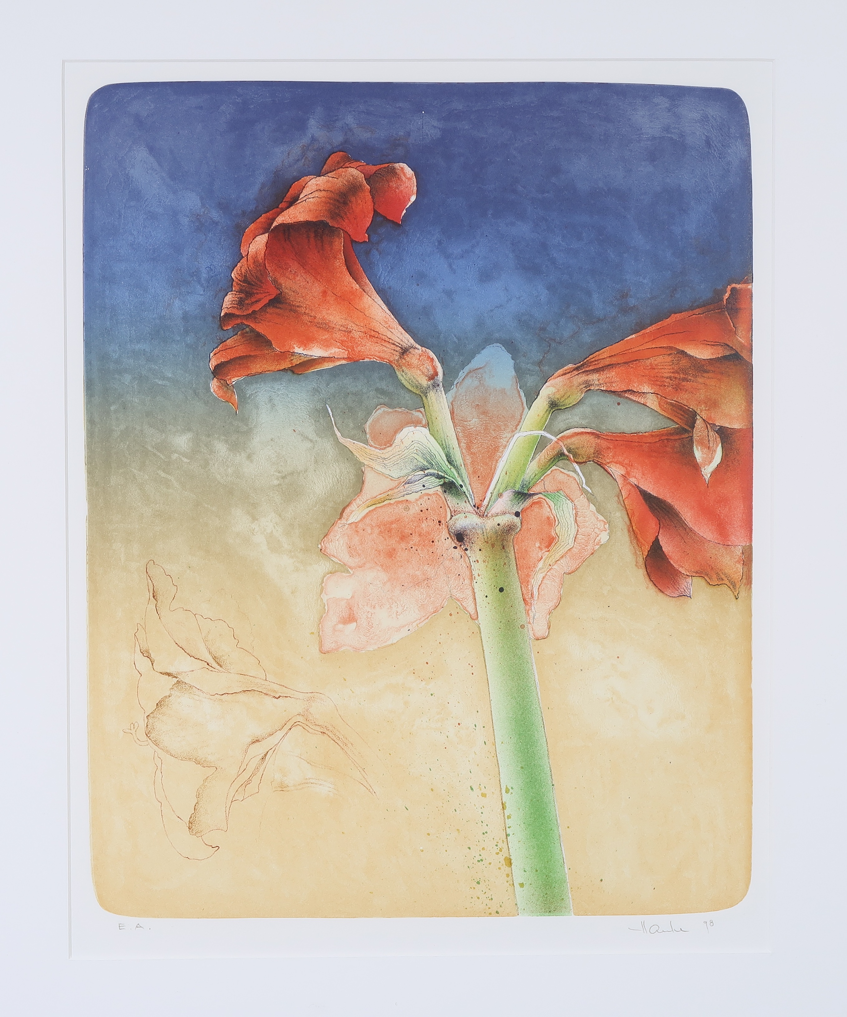 Ernst Hanke - Litho, Kleine amaryllis - Ingelijst kopen? Bied vanaf 20!