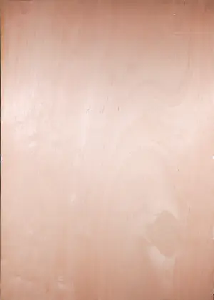 Pim Lenos - Gemengde techniek op paneel, Zonder titel (Groot formaat!) kopen? Bied vanaf 1!