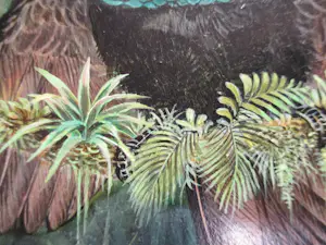 Ari Stolk - Ari Stolk - Kraagparadijsvogel - Lophornia Superba ♀ + ♂ kopen? Bied vanaf 195!