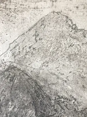 Bart Jonkers - Berglandschap op handgeschept papier kopen? Bied vanaf 125!