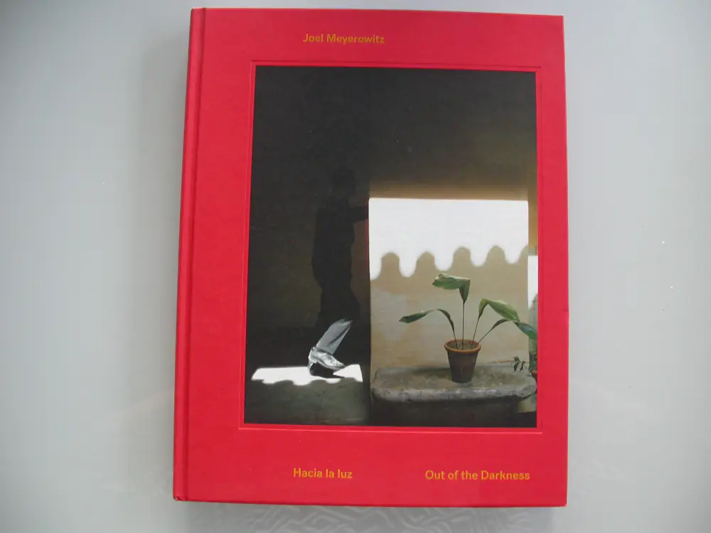 Joel Meyerowitz (1938)