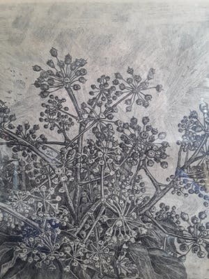 Jakob Nieweg - Hand en druk gesigneerd kopen? Bied vanaf 40!