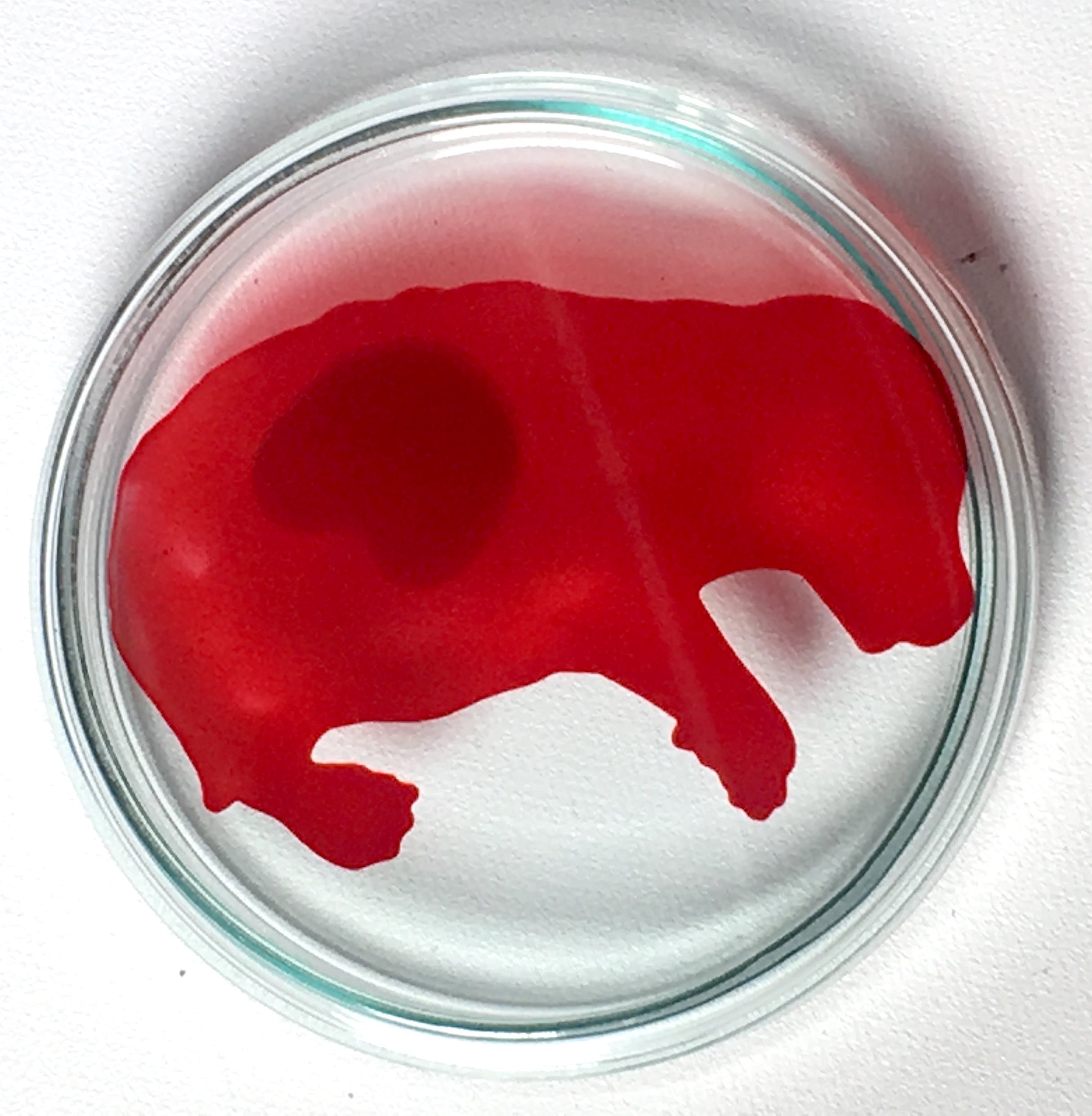 Lisette Verkerk - Beschilderd petrischaaltje, Origins kopen? Bied vanaf 1!