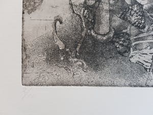 Jan Prins - Prachtige Ets - Gesigneerd in potlood kopen? Bied vanaf 1!