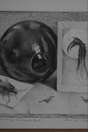 Hans van Dokkum - Im memoriam Cees B. kopen? Bied vanaf 40!