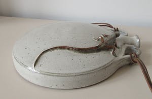 Ardine Spitters - Steengoed Object van een waterfles of zak gedecoreerd met een Salamander kopen? Bied vanaf 40!