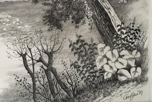 Toine Corstjens - Herenboerderij langs de Geul kopen? Bied vanaf 220!