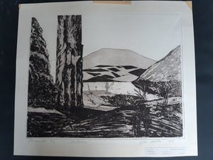 Jan Vaatstra - Somberland kopen? Bied vanaf 5!