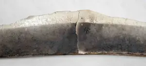 Willy van Blokland - geen titel kopen? Bied vanaf 25!