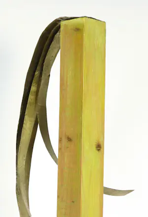 Erica Wesseling - Sculptuur in gemengde techniek, Meisje kopen? Bied vanaf 1!