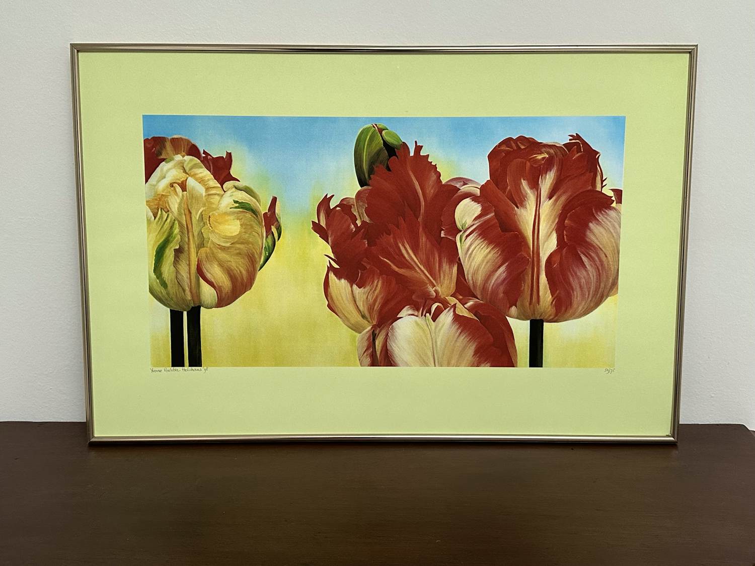 Yvonne Poelstra-Holzhaus - Tulpen in bloei kopen? Bied vanaf 39!