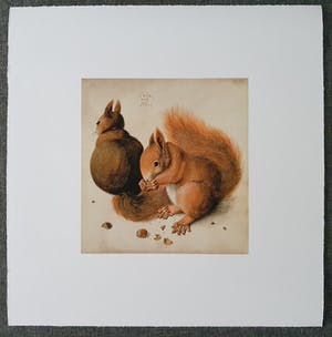 Albrecht Durer - Twee eekhoorns (op handgeschept papier) kopen? Bied vanaf 1!