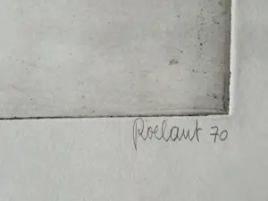 André Roelant - Grote monochrome ETS "de wortels van de knappe koppen" kleine oplage (40) kopen? Bied vanaf 48!