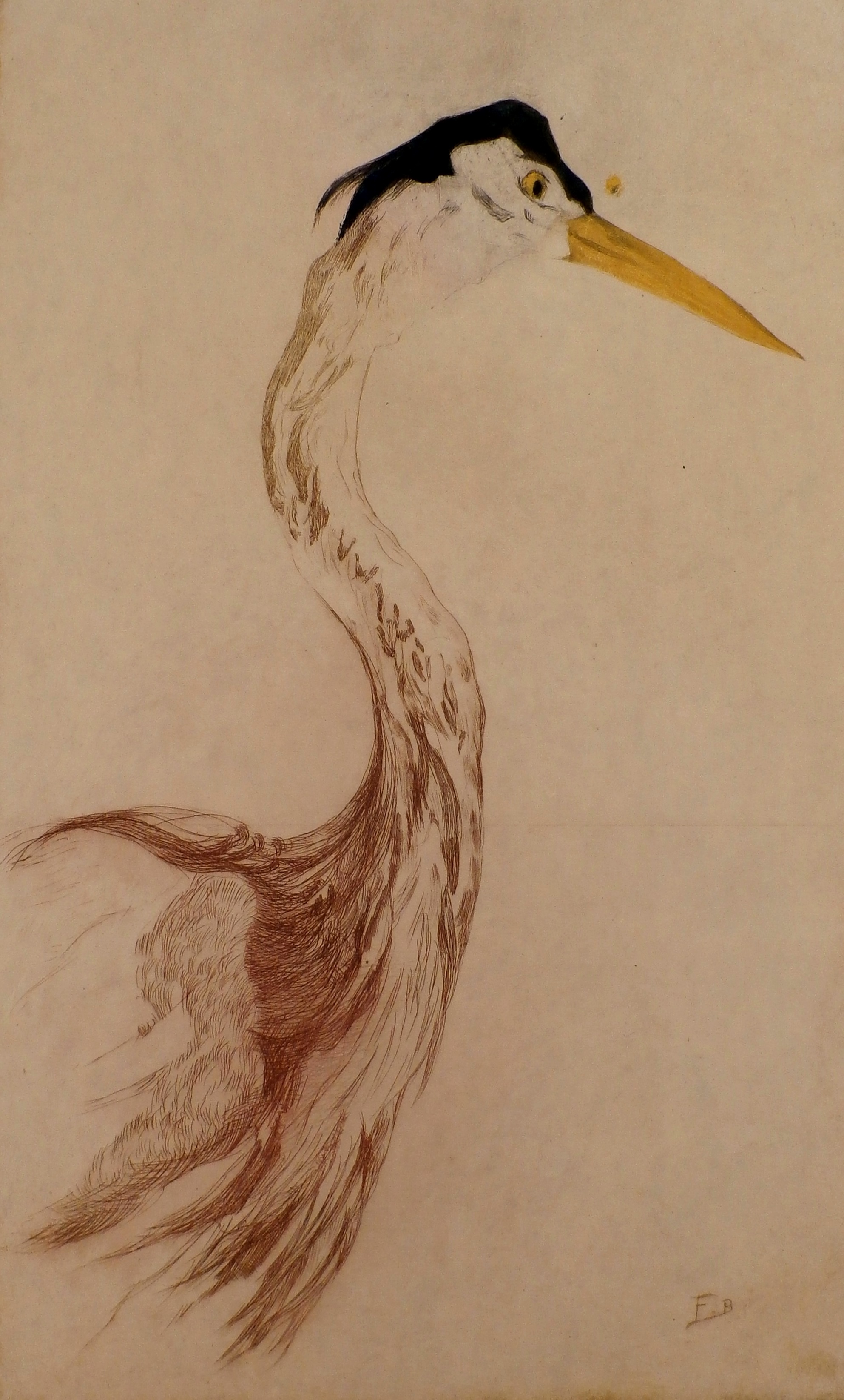 Frederika Broeksmit - ets: vogel kopen? Bied vanaf 45!