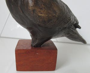 Niet of onleesbaar gesigneerd - Plastiek van een bronzen Duif op teakhouten sokkel kopen? Bied vanaf 10!