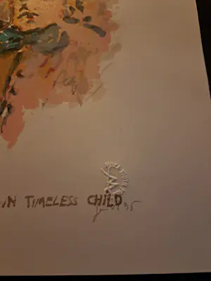 Jan Van Imschoot - UNKNOWN TIMELESS CHILD kopen? Bied vanaf 125!