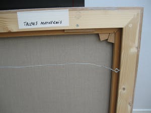 Theo van der Steen - Neerloon kopen? Bied vanaf 100!